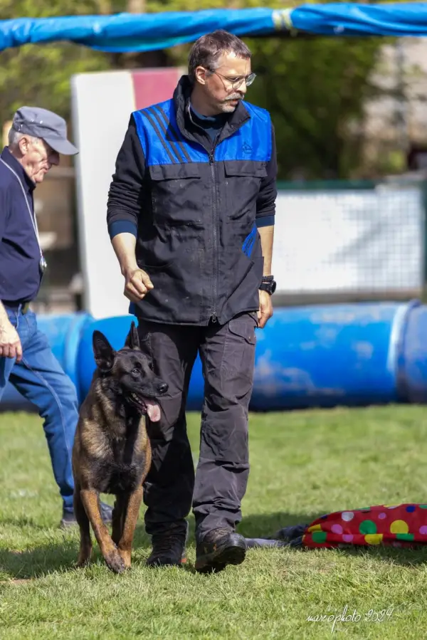 Éducation canine – CECH
