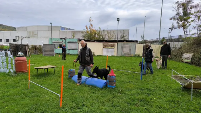 chien au pied Éducateur canin CECH avec chien