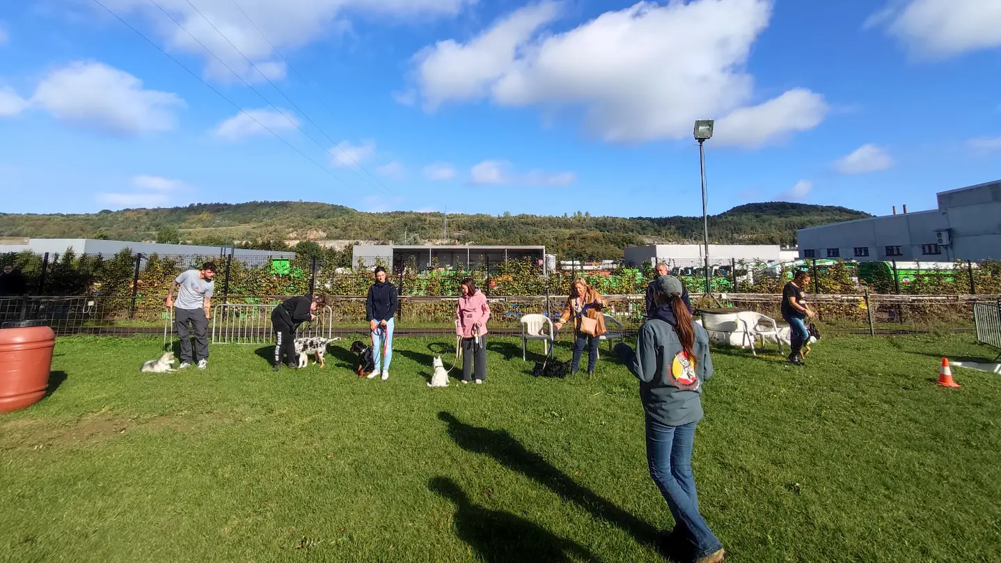 chien au pied Éducateur canin CECH avec chien
